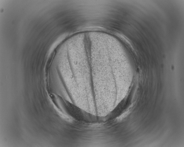 X0000068281430200605191842