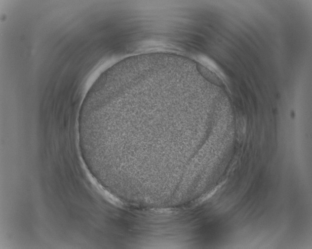 X0000068281431200605191842