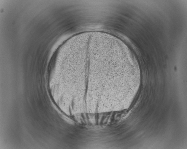 X0000068281432200605191842