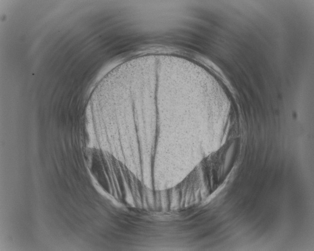 X0000068281433200605191842