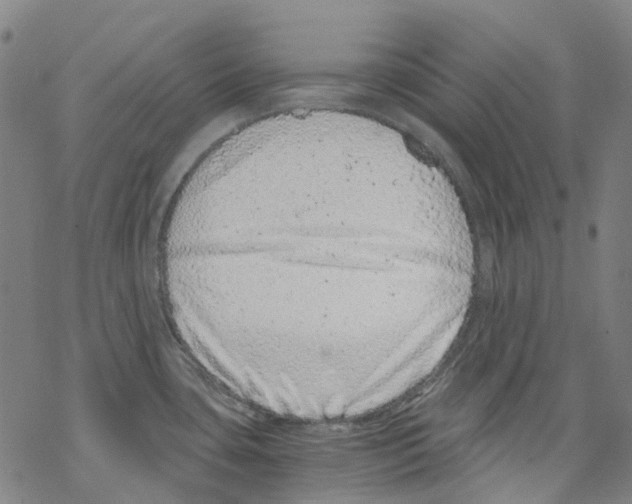 X0000068281435200605191842