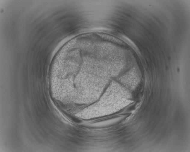 X0000068281436200605191842