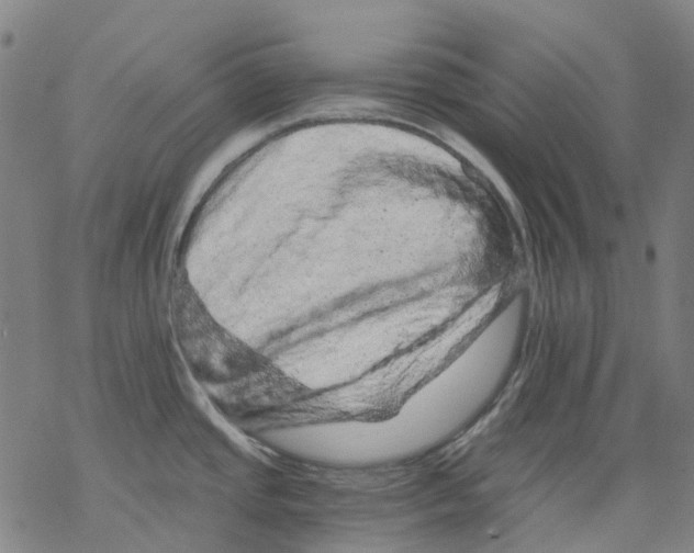 X0000068281437200605191842