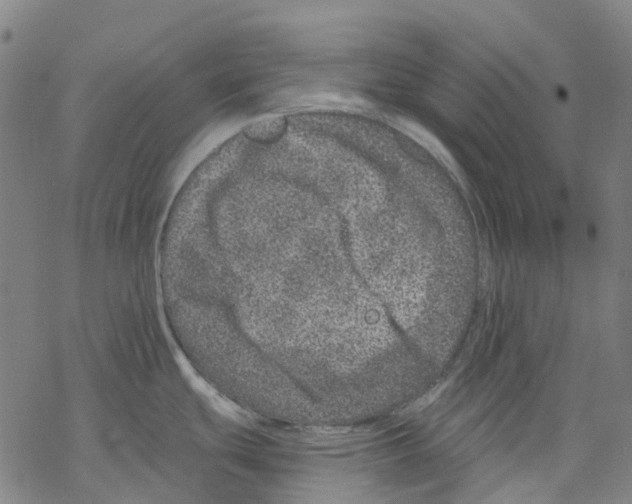 X0000068281439200605191842