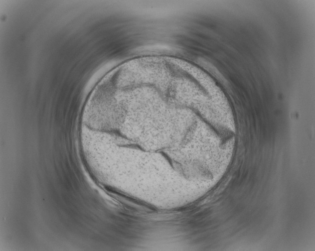 X0000068281440200605191842