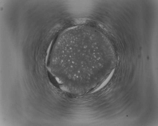 X0000068281441200605191841