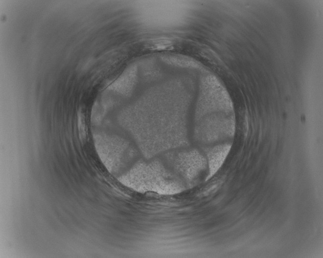 X0000068281442200605191841