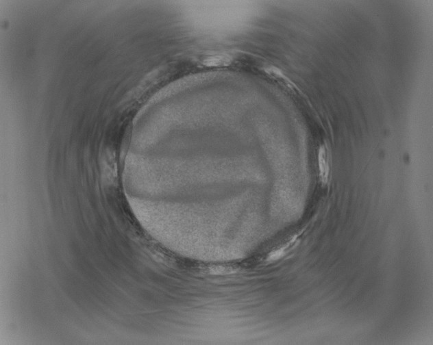 X0000068281443200605191841