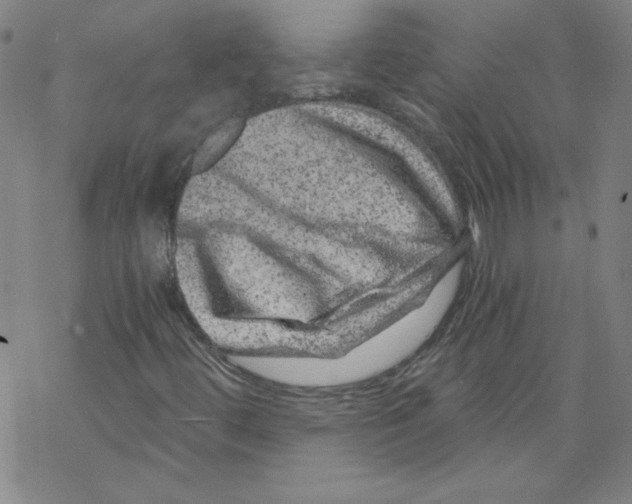 X0000068281444200605191841