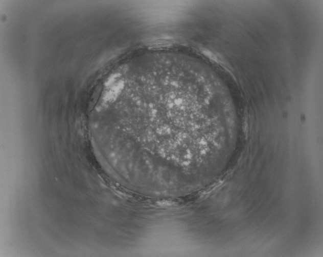 X0000068281445200605191841