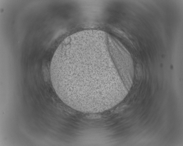 X0000068281446200605191841