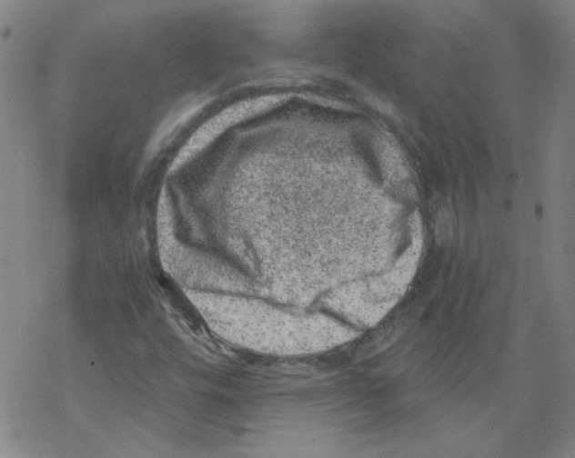 X0000068281448200605191841