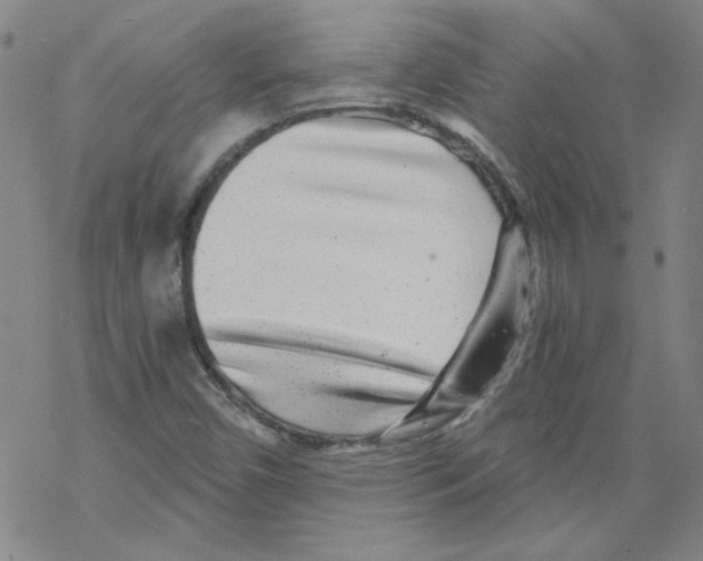 X0000068281450200605191841