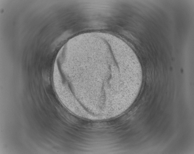 X0000068281451200605191841