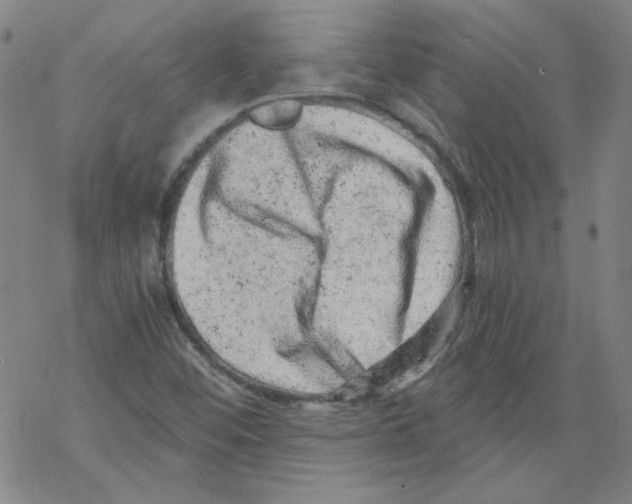 X0000068281452200605191841