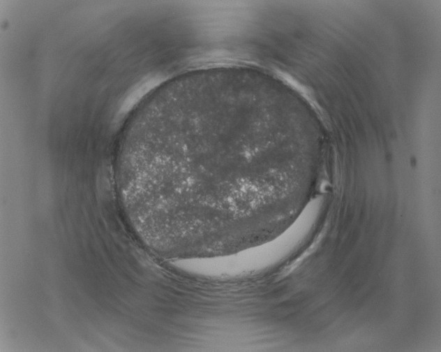 X0000068281453200605191841