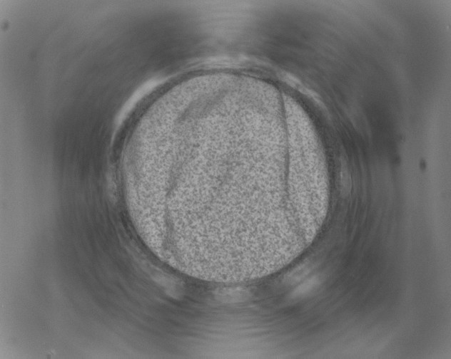 X0000068281454200605191841