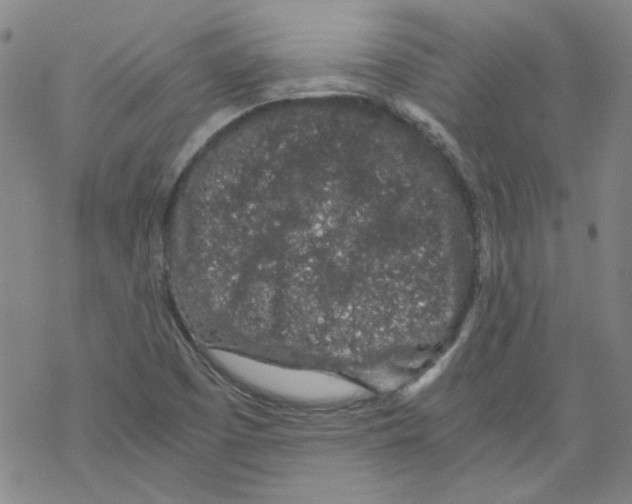 X0000068281457200605191841