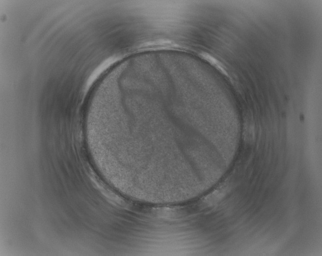 X0000068281458200605191841