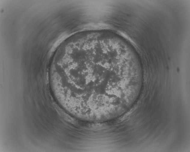 X0000068281459200605191841