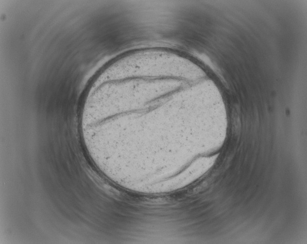 X0000068281460200605191841