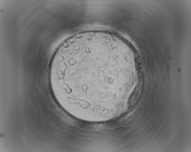 X0000068281463200605191841