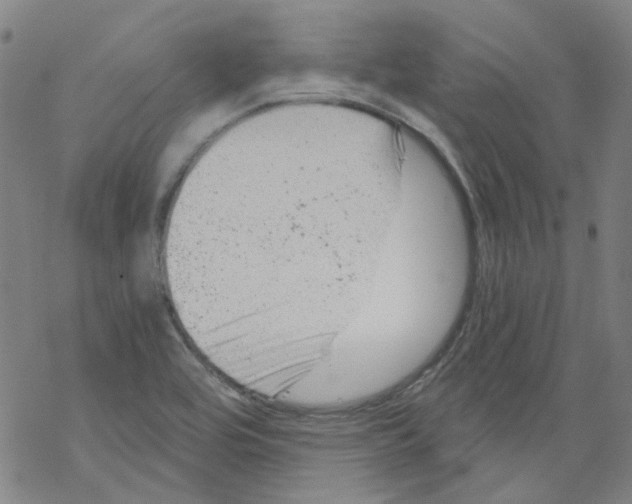 X0000068281464200605191841