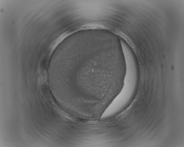 X0000068281465200605191841