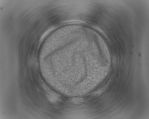 X0000068281466200605191841