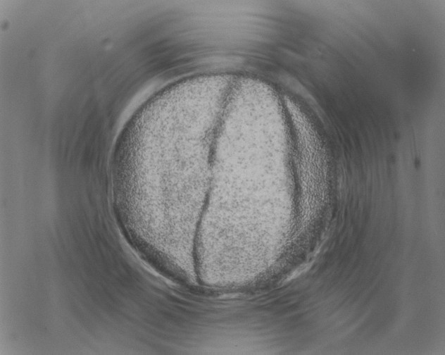 X0000068281467200605191841