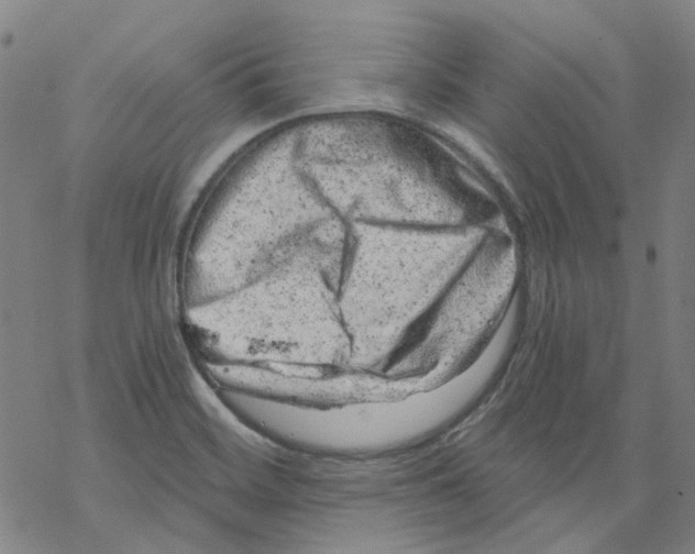 X0000068281468200605191841