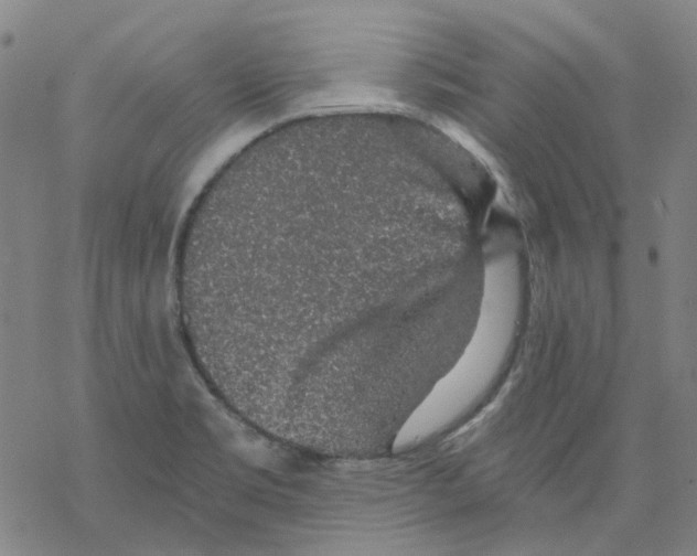 X0000068281469200605191841