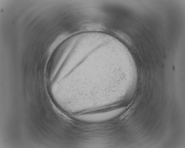 X0000068281471200605191841