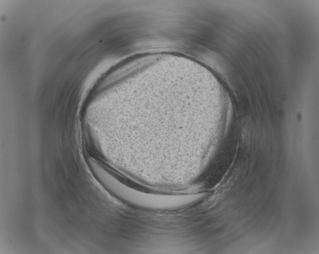 X0000068281472200605191841