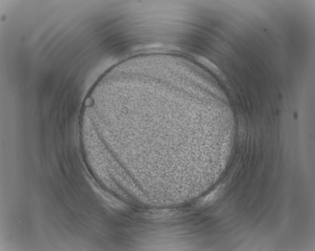 X0000068281474200605191841