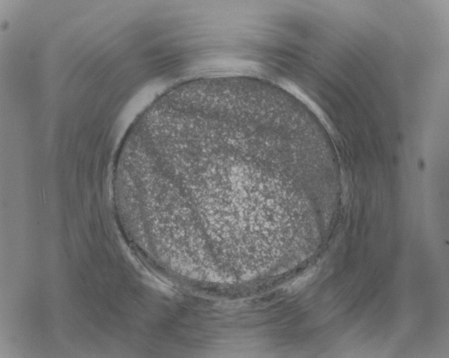 X0000068281477200605191841