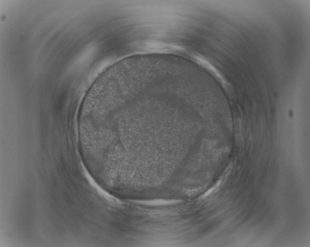 X0000068281479200605191841