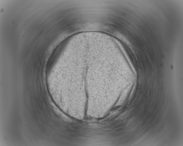 X0000068281480200605191841