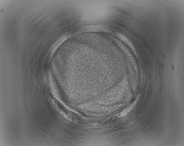 X0000068281481200605191841