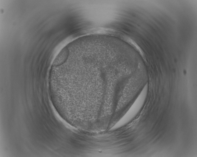 X0000068281483200605191841