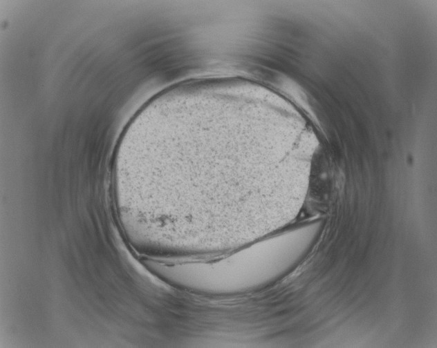 X0000068281484200605191841