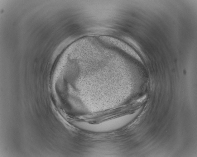 X0000068281485200605191841