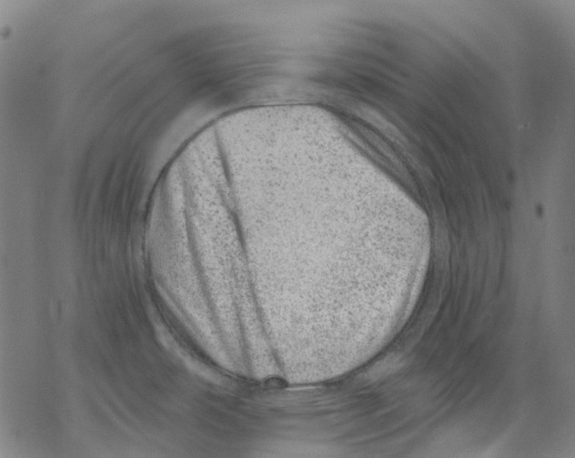 X0000068281486200605191841