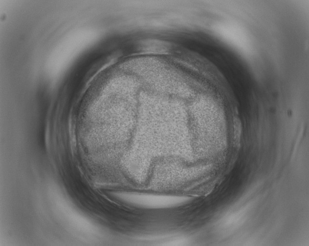 X0000068281487200605191841