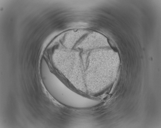 X0000068281488200605191841