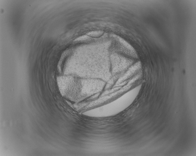 X0000068281489200605191840