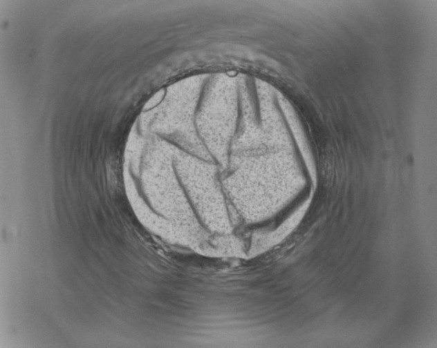 X0000068281490200605191840