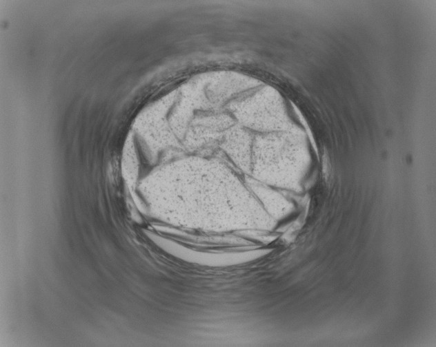 X0000068281492200605191840