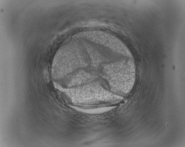 X0000068281493200605191840