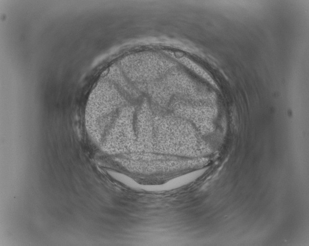 X0000068281494200605191840